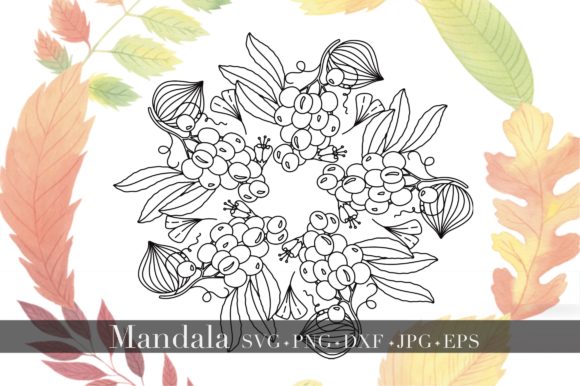 Mandala - Fruits Vegetables Season: A Versatile Graphics Asset