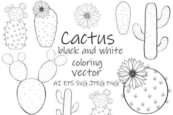 Reviewing Cactus Vector for Creative Graphics and Illustrations